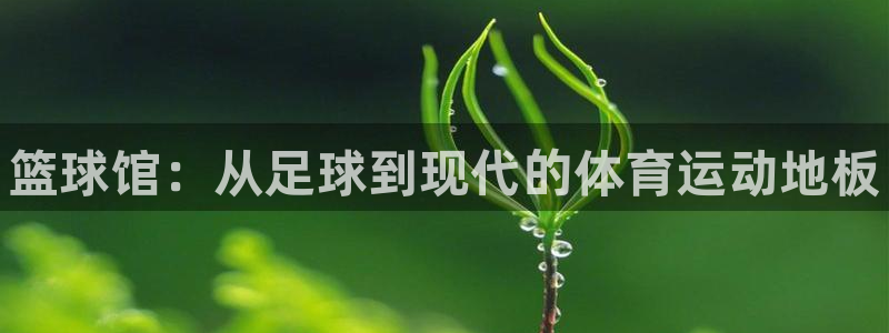 JJB竞技宝官网下载平台APP:篮球馆:从足球到现代的体育运