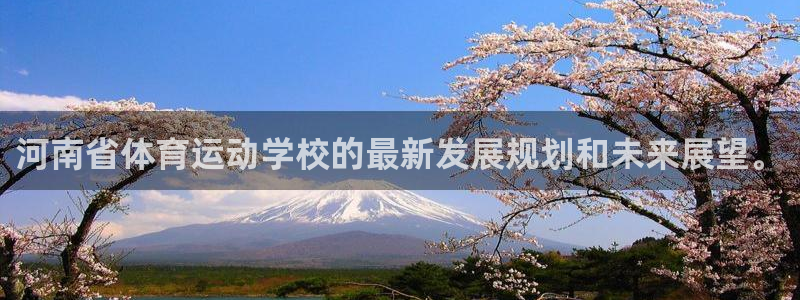 JJB竞技宝官网下载开户:河南省体育运动学校的最新发展规划和