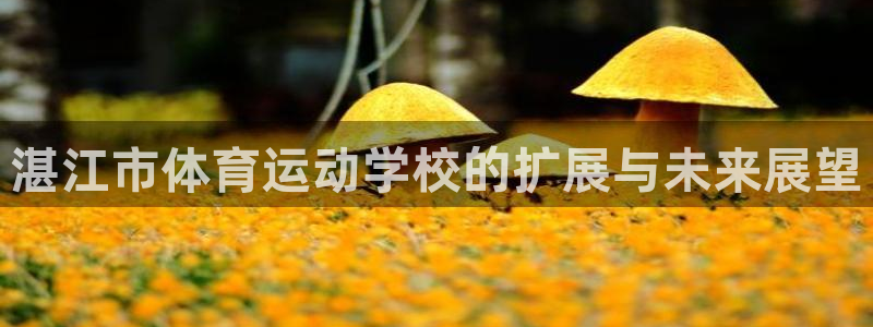 JJB竞技宝官方正版app娱乐首页官网下载:湛江市体育运动学