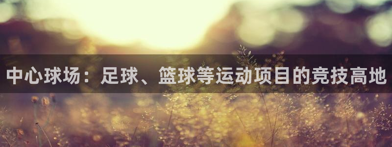 JJB竞技宝官方正版app娱乐下载:中心球场:足球、篮球等运