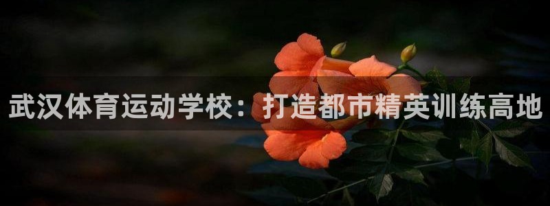 JJB竞技宝官网下载招商电话号码是多少号:武汉体育运动学校: