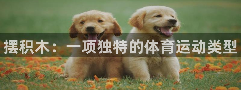 JJB竞技宝官网下载平台是正规平台吗安全吗:摆积木:一项独特