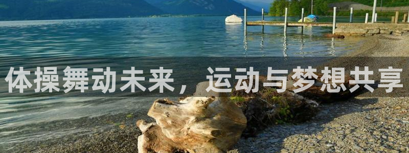 JJB竞技宝官网下载平台:体操舞动未来,运动与梦想共享